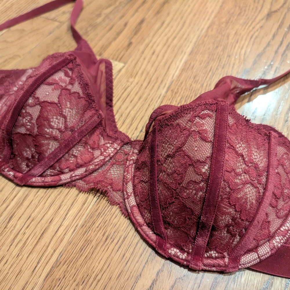 (NWT) Luxurious Lace Maroon Bra, Adore Me Catierra Contour, 34C